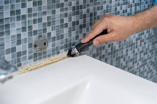 Best Commercial Mold Removal  in Avodo Heights, CA